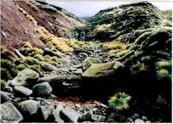The source of the Derwent